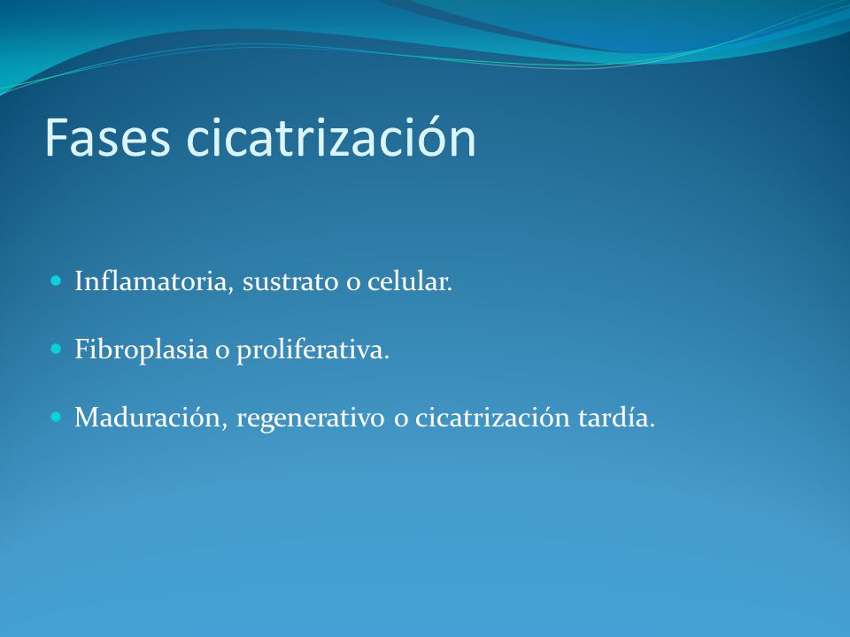mecanismo de cicatrización tardía de heridas en diabetes mellitus mecanismo de cicatrización tardía de heridas en diabetes mellitus